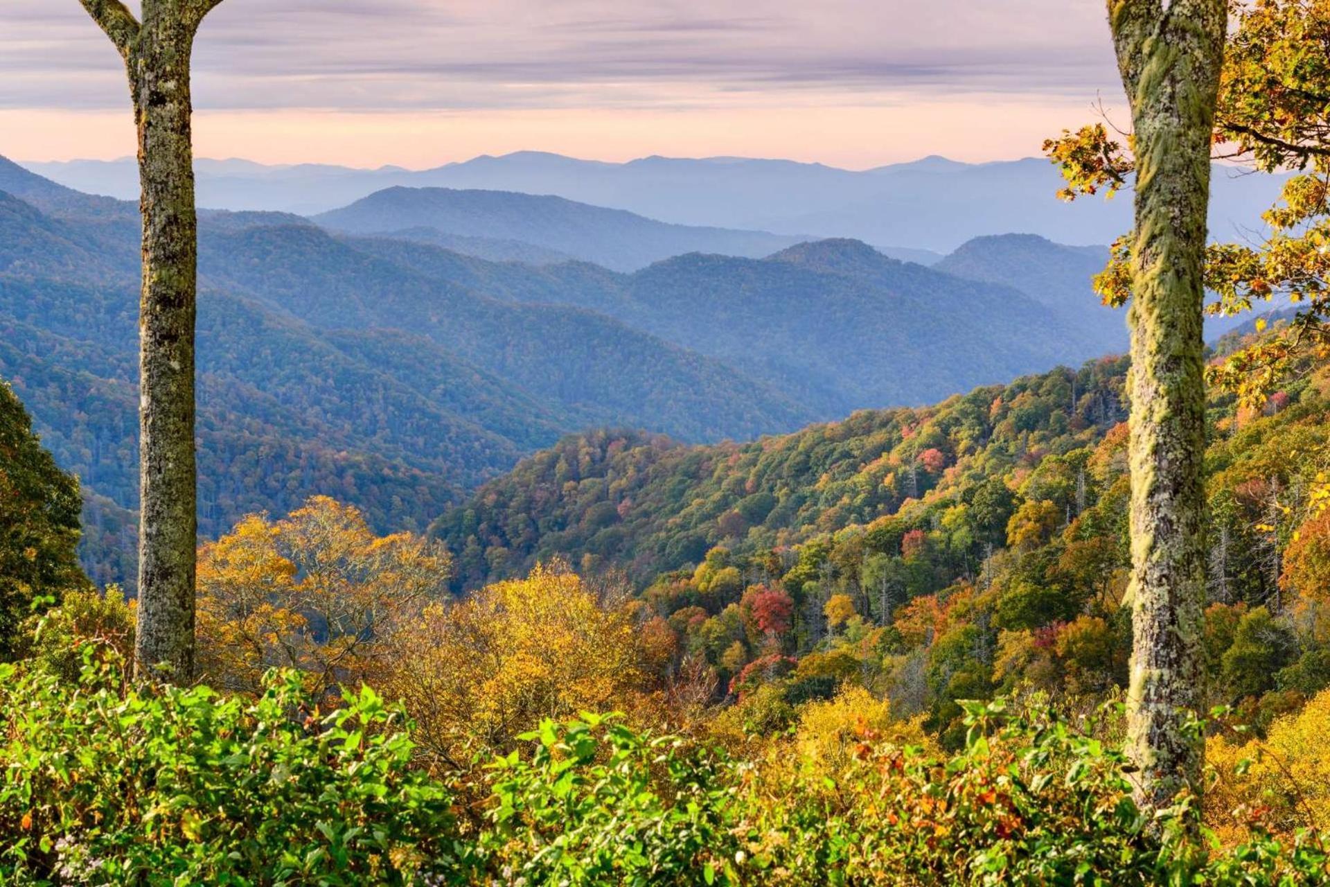 Knot A Kabin Pigeon Forge Kültér fotó