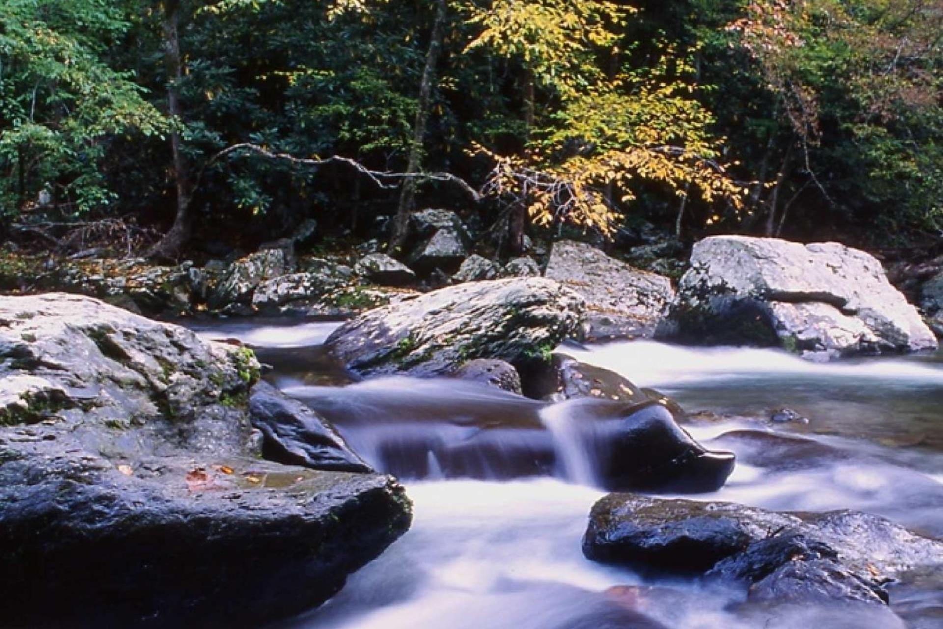 Knot A Kabin Pigeon Forge Kültér fotó